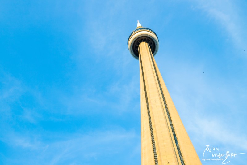 토론토 여행 CN 타워 전망대 야경 !