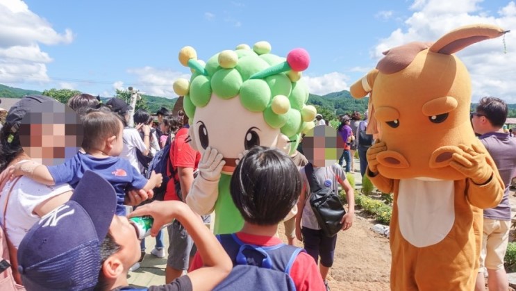 강원도 가볼만한곳 평창효석문화제 2018 여행갈까