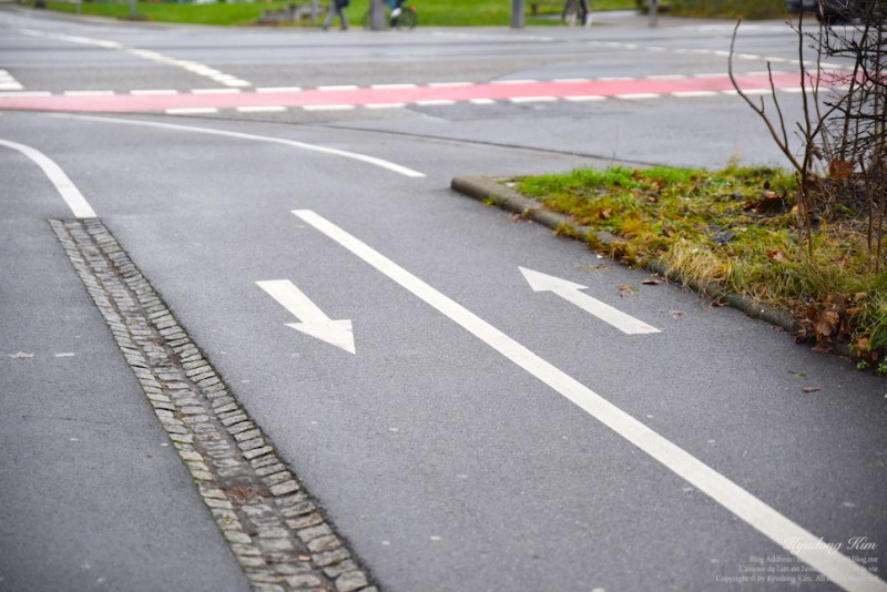 독일의 문화 자전거 도로 걸으면 욕들어먹기 좋다