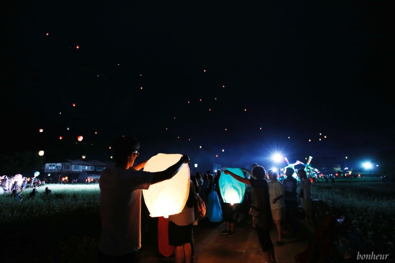 가을여행의 시작! 효석문화제 평창 봉평 메밀꽃축제와 풍등날리기