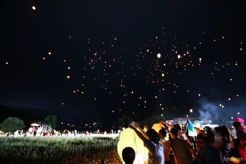 가을여행의 시작! 효석문화제 평창 봉평 메밀꽃축제와 풍등날리기