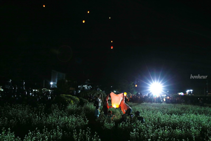 가을여행의 시작! 효석문화제 평창 봉평 메밀꽃축제와 풍등날리기