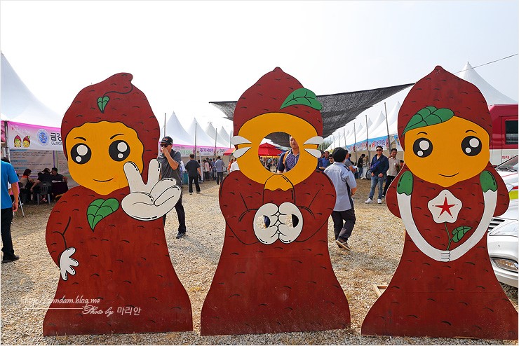 상월 고구마축제 명품 고구마로 논산 9월 축제~