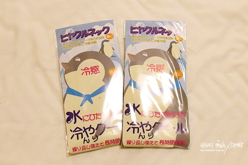 도쿄여행, 신주쿠 돈키호테 고양이 간식 샀어요