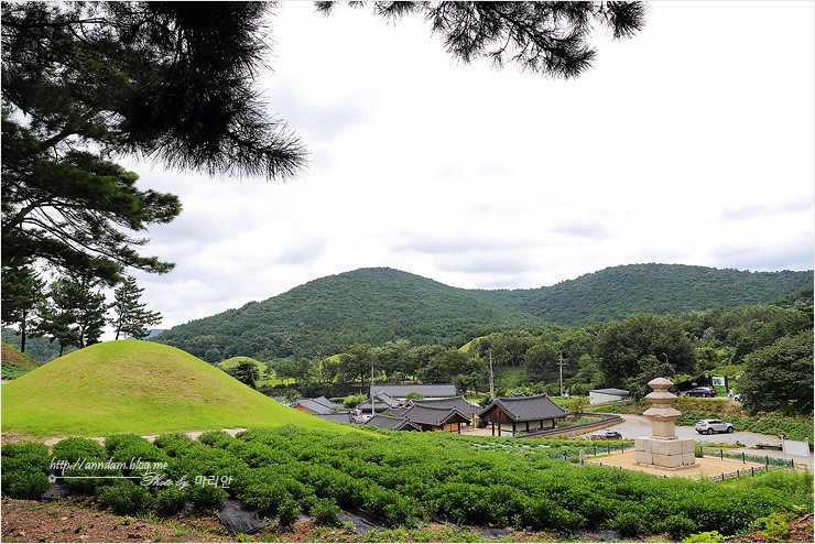 경주 숙소 무열왕릉 근처 시내와 가까운 펜션  