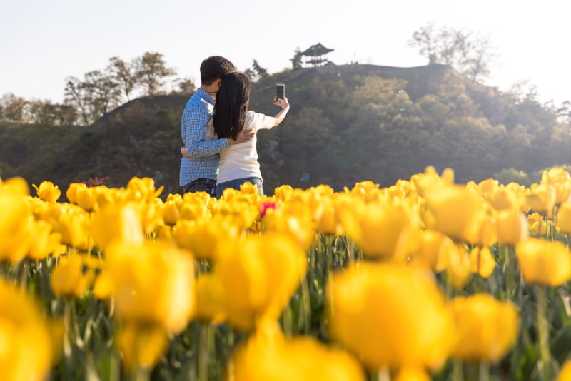 공주 가볼만한곳 백제문화제 개막이 다가왔습니다!!