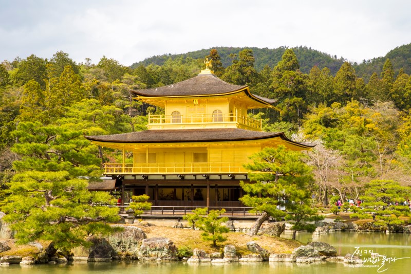 일본 오사카 자유여행 3박4일 코스 정리 및 호텔 추천 !