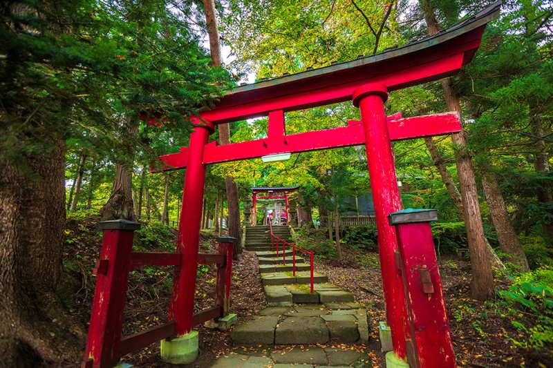 아고다 9월 할인코드 일본 가을여행 저렴한 숙소 예약