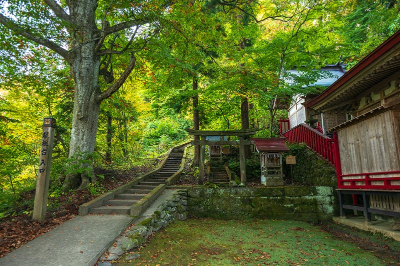 아고다 9월 할인코드 일본 가을여행 저렴한 숙소 예약