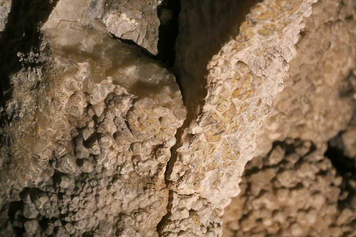 쥬얼케이브(Jewel Cave) 내셔널모뉴먼트에서 꼭 해야하는 대표 동굴투어인 시닉투어(Scenic Tour)