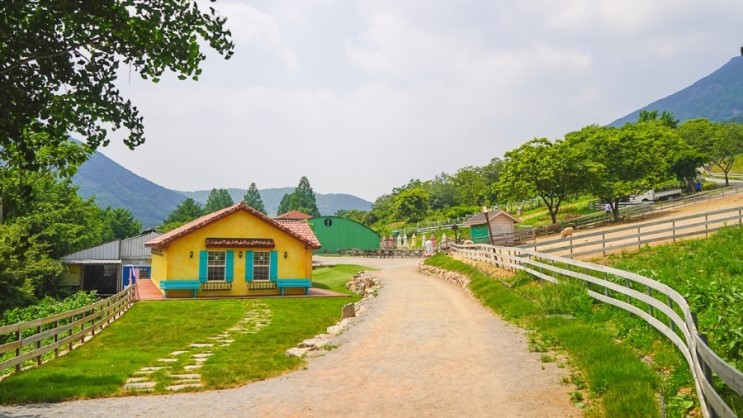 전남 가볼만한곳 화순 1박2일 여행코스 가을 감성! 2018 화순국화향연 축제 소개