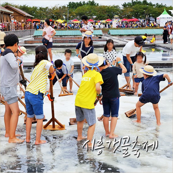 시흥갯골축제 2018 갯골생태공원 경기도 서울근교 당일치기 여행