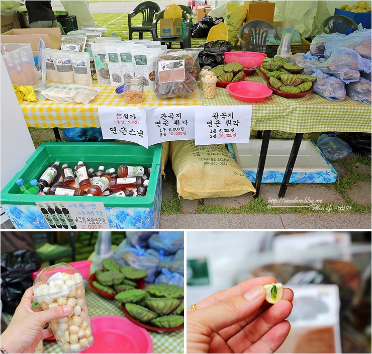 시흥갯골축제 2018 갯골생태공원 경기도 서울근교 당일치기 여행