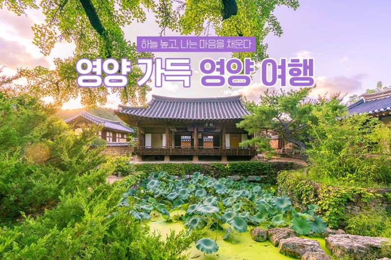 추석연휴 국내여행｜내 고향은 경상북도, 간 김에 즐기는 영양여행