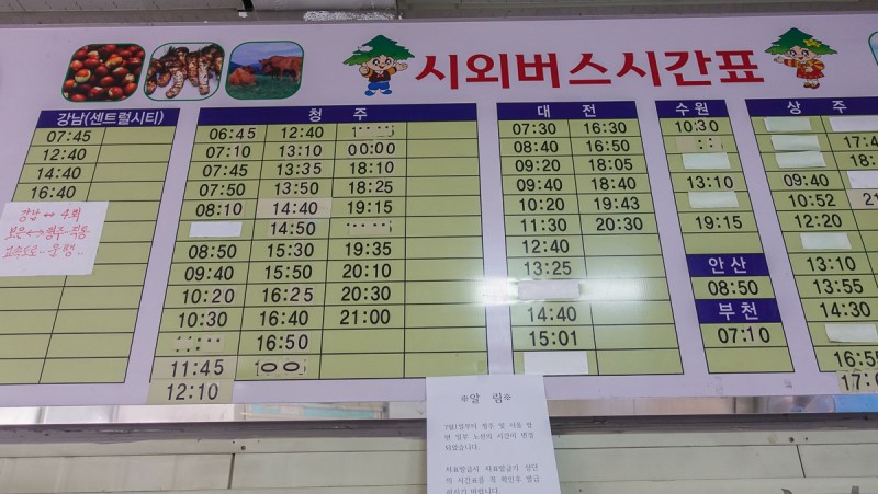 충북 보은 가볼만한곳 당일치기 가을 여행 독수리봉 산책하기