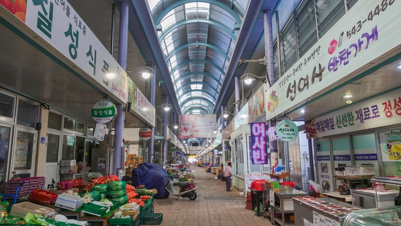 충북 보은 가볼만한곳 당일치기 가을 여행 독수리봉 산책하기