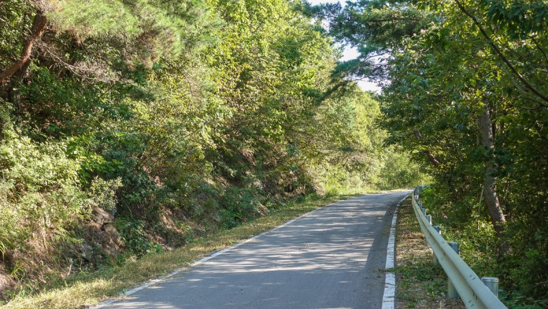 충북 보은 가볼만한곳 당일치기 가을 여행 독수리봉 산책하기