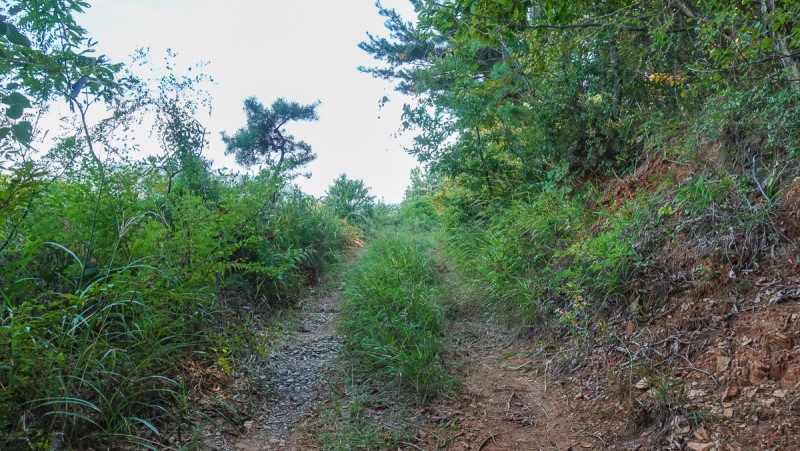 충북 보은 가볼만한곳 당일치기 가을 여행 독수리봉 산책하기