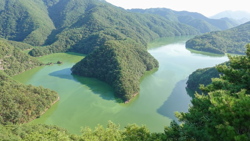 충북 보은 가볼만한곳 당일치기 가을 여행 독수리봉 산책하기