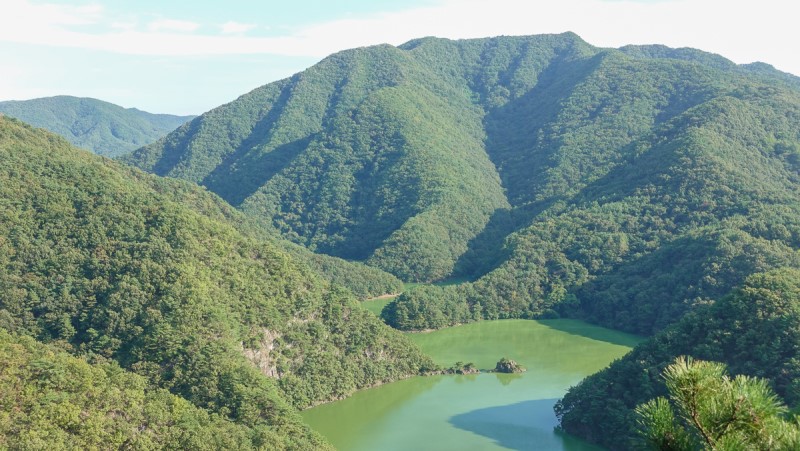 충북 보은 가볼만한곳 당일치기 가을 여행 독수리봉 산책하기