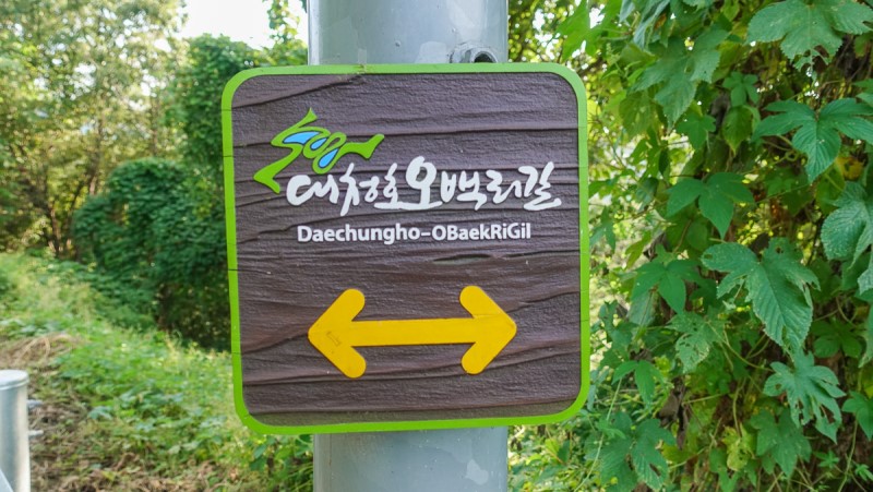충북 보은 가볼만한곳 당일치기 가을 여행 독수리봉 산책하기