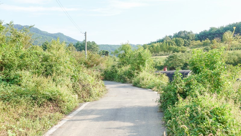 충북 보은 가볼만한곳 당일치기 가을 여행 독수리봉 산책하기