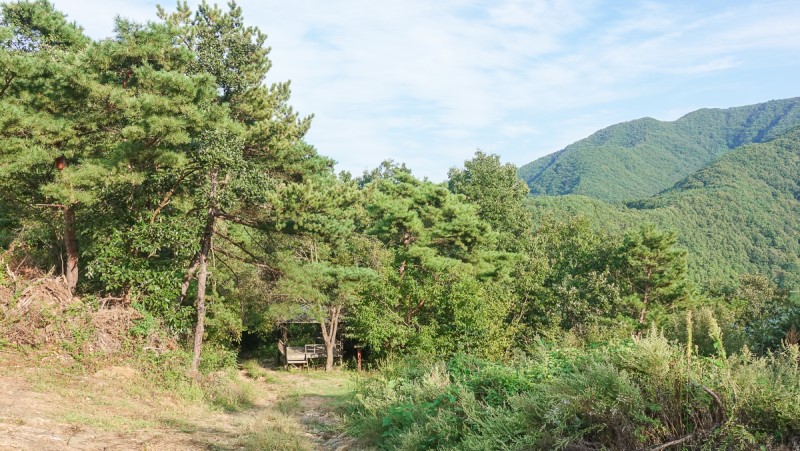 충북 보은 가볼만한곳 당일치기 가을 여행 독수리봉 산책하기