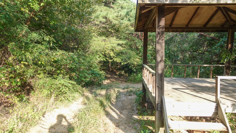 충북 보은 가볼만한곳 당일치기 가을 여행 독수리봉 산책하기