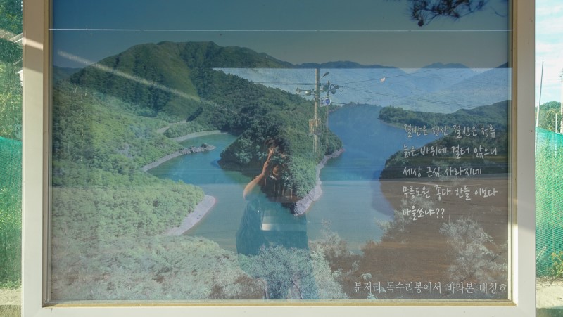 충북 보은 가볼만한곳 당일치기 가을 여행 독수리봉 산책하기