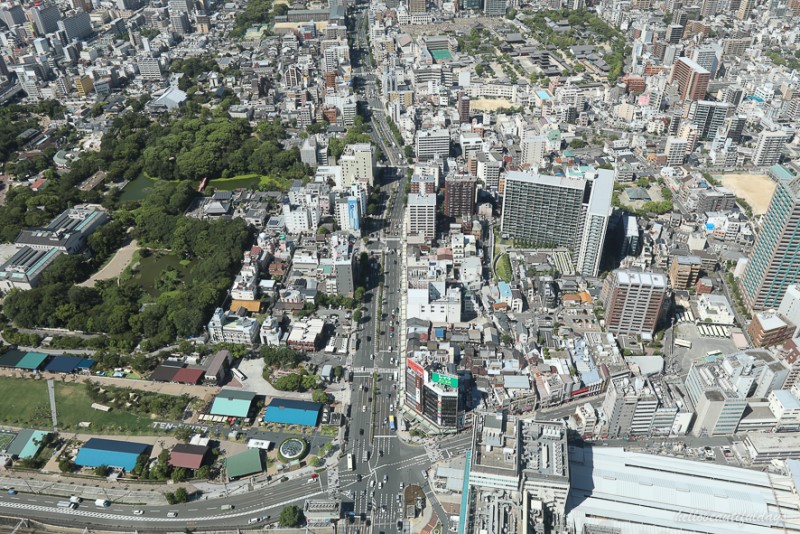 오사카 가볼 만한 곳 하루카스 300 전망대 입장권 할인 TIP