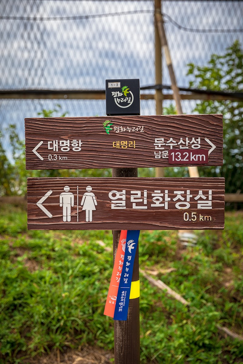 김포 가볼만한곳 가을여행 걷기 좋은 평화누리길 1코스