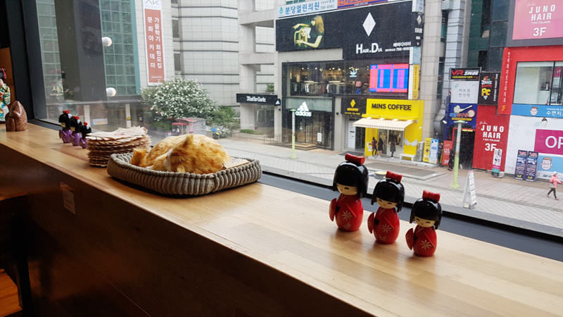 서현 맛집 가성비 좋은 도쿄스테이크