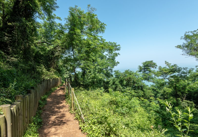 서울 근교 바다 여행 대부도 구봉도 대부해솔길 1코스