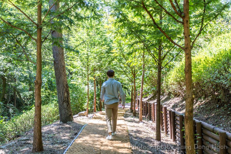 대전 만인산 자연휴양림 봉이호떡 먹고 산책하고