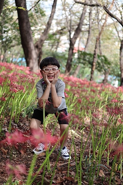 경남 창원여행 9월 마산 가볼만한곳 용마산 꽃무릇