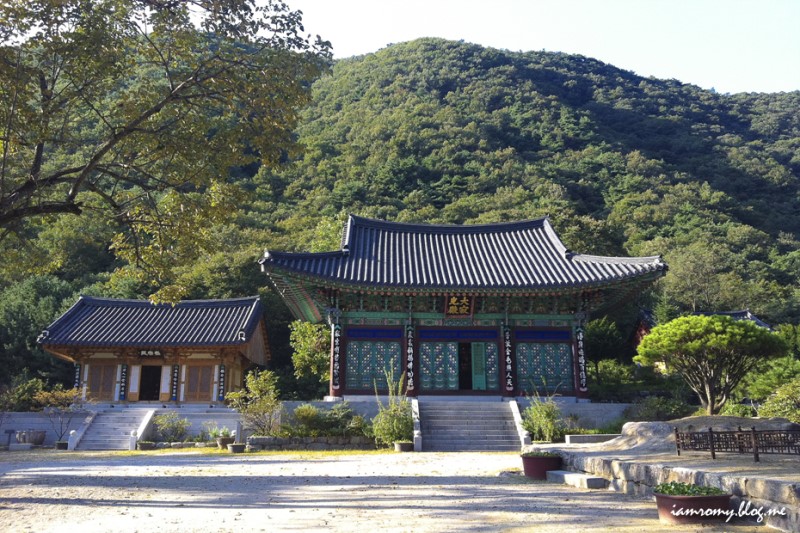서울근교 주말산행, 용문산 어깨 양평 백운봉에서 만끽한 가을여행