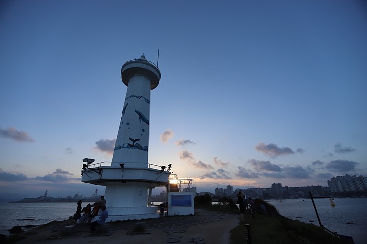 가을 울산 가볼만한곳 (울산동구) 대왕암공원 꽃무릇과 바다