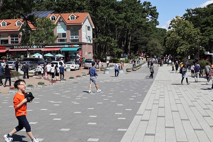 가을 울산 가볼만한곳 (울산동구) 대왕암공원 꽃무릇과 바다