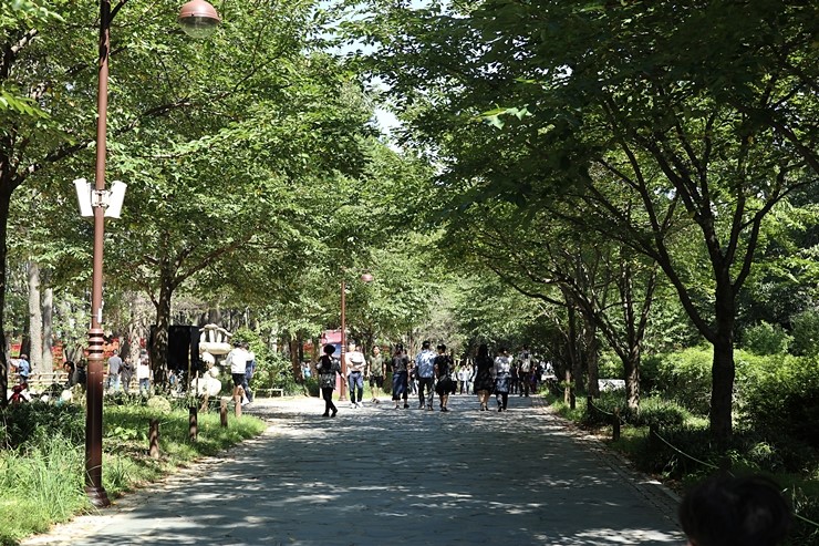 가을 울산 가볼만한곳 (울산동구) 대왕암공원 꽃무릇과 바다