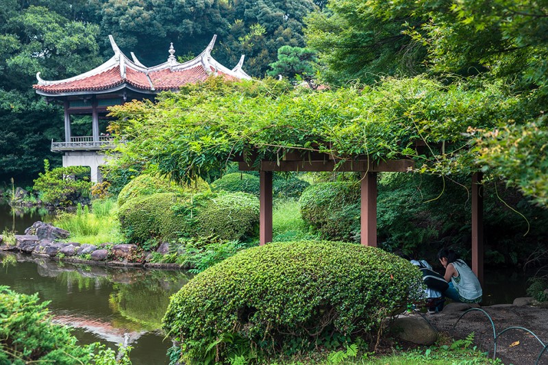 도쿄 가볼만한곳 언어의 정원 흔적을 찾아서 신주쿠 공원