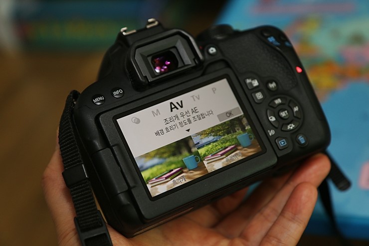 DSLR입문 초보자용 캐논 800D 아빠의 첫 카메라