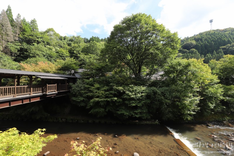 일본료칸여행 쿠로가와 온천마을 야마비코 후기