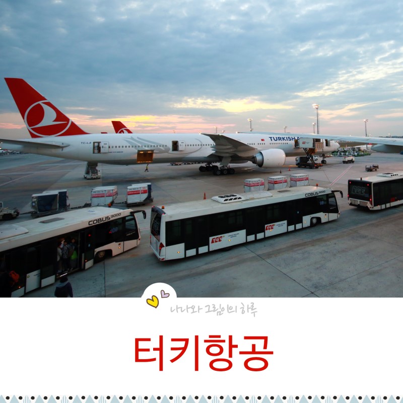 터키항공 인천-이스탄불 탑승후기 기내식+수화물 총정리