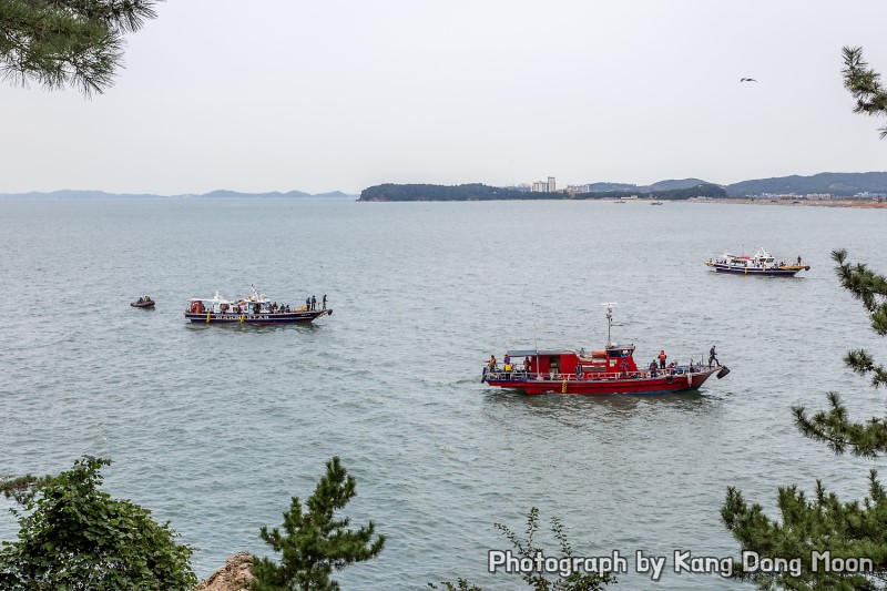 충남 보령 가볼만한곳 죽도상화원 한 번 정도는 OK