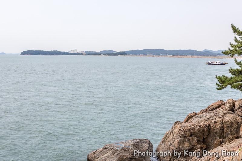 충남 보령 가볼만한곳 죽도상화원 한 번 정도는 OK