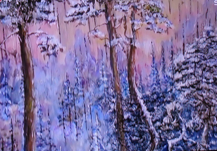  러시아의 나무껍질에 그림 그리는 여인