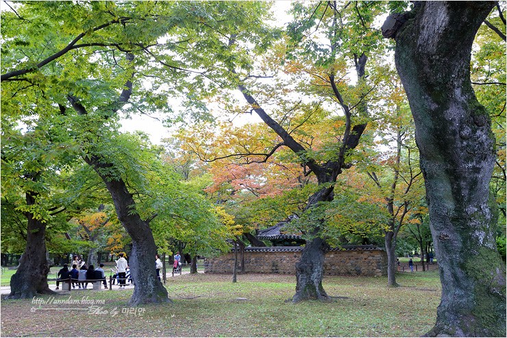 경주 1박2일 코스 국내 가을여행 서악마을 구절초달빛음악회와 함께 ~