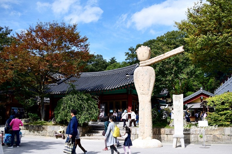 국내여행, 가을여행으로 딱인 양산 통도사(어린 왕자 전시)