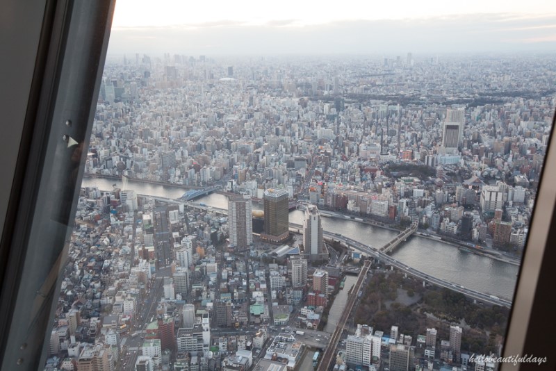 일본 북해도 자유여행 나만 알고 싶은 삿포로 여행코스 공유