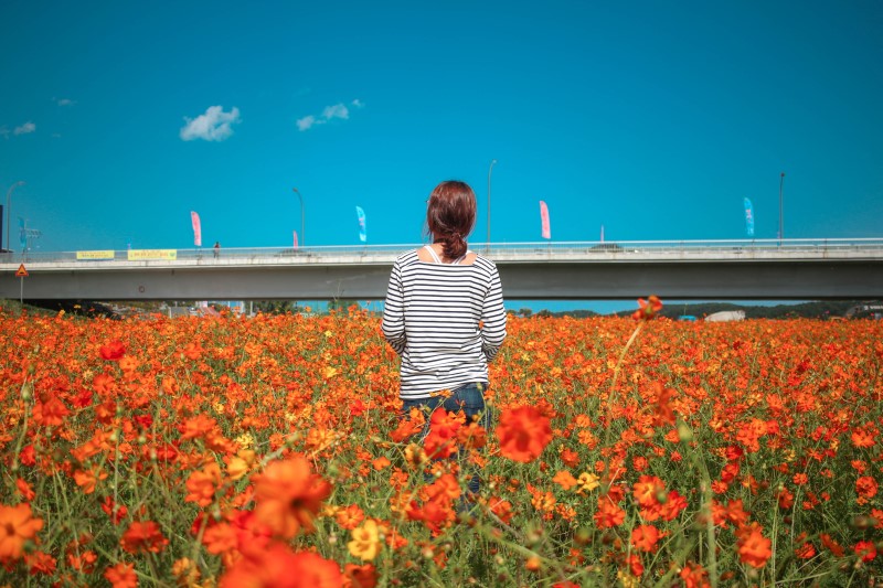 송이 가요 송이 가~♬ 가을이 제철인 양양!